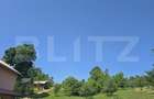 Livada de vanzare, 16.000 mp, zona Hodac