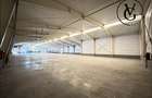 Spatiu industrial | Hala + birouri | 4.871 mp teren | Tulcea - 2