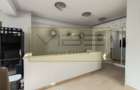 PENTHOUSE -137mp- LOCATIE CENTRALA- PALAS MALL  ! - 18