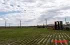 Pensiune + 4,7 Ha teren E85 Roman - Neamț - Afacere la cheie - 12