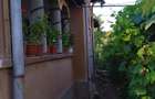 Casa comuna Giubega 45km craiova - 10
