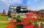 Glamping Flandra | Swimming pool | Pump track | Transfagaran | - 29
