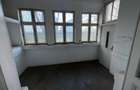 ARMENEASCA - Carol 4 camere 120 mp utili parter cu curte - 9