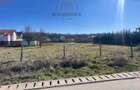Dumbravita Teren Intravilan 1466mp Front 29m | Langa Padure - 1