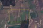 Afumati - Tarla 9, teren agricol in suprafata de 9.200 mp. - 10