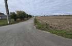 Amzacea- sat G. Scarisoreanu -Ferma zootehnica , 5,1 hectare - 4