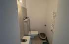 Vanzare casa 3 camere, 2 bai, curte 300 mp, Parc Bazilescu, renovata integral - 6