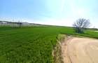 Teren intravilan | Dragomiresti Vale | Sat Zurbaua IF | INVESTITIE - 5
