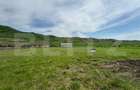 Hala, 230mp , zona Sud - 1