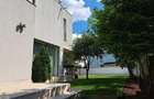 Vila in apropiere de IANCU NICOLAE-JOLIE VILLE - 25