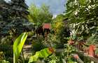 Vanzare vila lacul Baneasa - 13