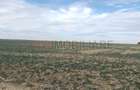 Ferma Agricolă 1.350 Hectare – Grad de Comasare 96–97%, Chișineu Criș, Județul A - 3
