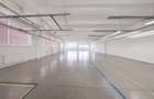 Oportunitate de investiție | Proprietate industrială completă - 16