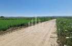 Teren intravilan | 17300 mp | 20 de parcele | Soseaua de Centura - 4