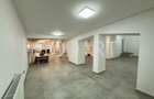 Vila spatioasa | Complet renovată | Central - 6