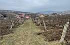 Teren ideal pentru dezvoltare 4.209mp, Chicerea, Comuna Tomești - 4