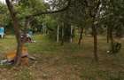 De vanzare teren intravilan, în vatra satului, cu casa veche demolabila, 903 mp - 1