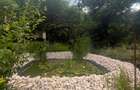 Vânzare Proprietate de excepție cu lac amenajat și pădure proprie | Gura Ocniței - 7