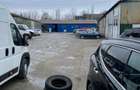 Vand teren cu hale 8.000 mp Sos. Bucium nr. 23 - 3