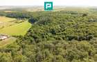 TEREN AGRICOL EXTRAVILAN  22.900 MP LIPOVA - 16