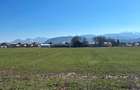 Vand 16.225 mp teren industrial/comercial in BRASOV-Bartolomeu - 5