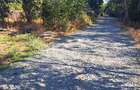 Teren linga strada Luceafarului - 3