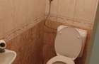 Casa 3 camere la Elek, langa Gyula, Ungaria - 14