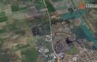 COMISION 0% Teren extravilan pretabil agricol, Sacalaz - Oportunitate investitie - 4
