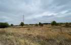 Vanzare teren intravilan zona industriala 5000 mp - Chiajna A1 Ilfov - 4