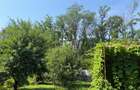 Casa din lemn masiv | 3 camere | Teren 5.000mp -Berceni Prahova - 13