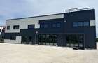 Hală industrială nouă depozitare de inchiriat Zona Industrială Sânandrei DN69 - 5