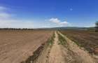 TEREN AGRICOL DE VANZARE - BOD - BRASOV 4,5 HA - 6