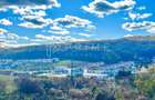 Teren cu potențial multiplu de dezvoltare – Corunca, E60, 10.000 mp - 1