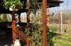 Vila spațioasă, complet mobilată,utilata, Branistari Giurgiu - 9
