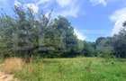 Teren intravilan de vanzare, 1235 mp, zona Sohodol - 1
