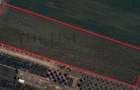 Teren Intravilan | 4913 mp | DARZA - 1