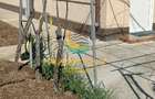 Vânzare Casă în Popești-Leordeni, Zonă Veche! - 11