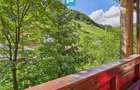 Cabană de vacanță în zona Arieșeni - 22