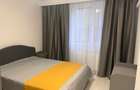 DELFINARIU 2 CAMERE RENOVAT PARTER CU BALCON 470 EURO TERMEN LUNG