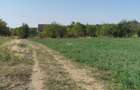 Vand 4 Loturi de teren langa A0 pod Domnesti - 7