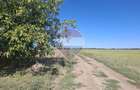 Vanzare teren extravilan 5.000mp - Pantelimon - 3