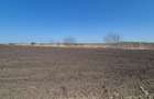 GRADISTEA - Sat Sitaru, teren agricol 11.961mp, ideal investitie - 6