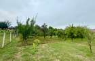 Casă P+M Chicerea Tomesti cu 2.200 mp teren, 30 ml la asfalt, livadă matură și mansardă - 12