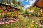 Cabana 80 mp| teren 3.400 mp| zona Cugir - 7