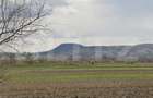 Teren extravilan arabil de vânzare – 17.400 mp în comuna Ungra, județul Brașov - 1