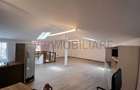 Loft spatios la Cismigiu - 2