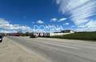 Vanzare teren intravilan 10.339 mp cu PUZ*dubla deschidere* - strada Narciselor  - 6