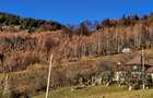 Teren de vânzare în sat Măgura/ Brasov– loc pentru familie, liniște și suflet - 5