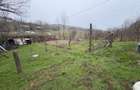 Teren 2.038 mp + Casă 50 mp de vânzare – Sat Luncsoru, Com. Ghercești - 6