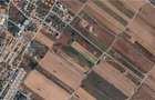 Teren Extravilan In Rate Primaverii Com. Berceni | 5491mp | #EG42 - 1